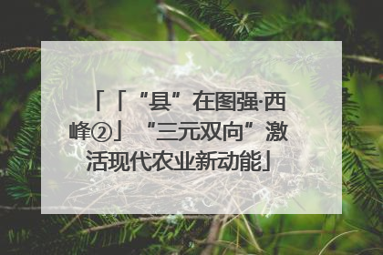 「“县”在图强·西峰②」“三元双向”激活现代农业新动能