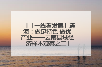 「一线看发展」通海：做足特色 做优产业——云南县域经济样本观察之二