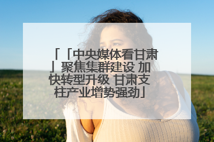 「中央媒体看甘肃」聚焦集群建设 加快转型升级 甘肃支柱产业增势强劲