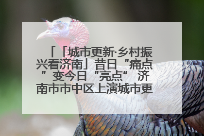 「城市更新·乡村振兴看济南」昔日“痛点”变今日“亮点” 济南市市中区上演城市更新“三部曲”