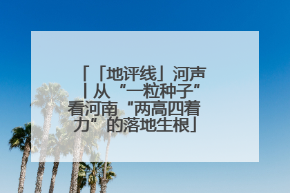 「地评线」河声丨从“一粒种子”看河南“两高四着力”的落地生根