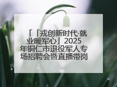 「戎创新时代·就业暖军心」2025年铜仁市退役军人专场招聘会暨直播带岗活动顺利举行