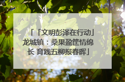 「文明彭泽在行动」龙城镇：桑果盈筐情绵长 育践五柳报春晖