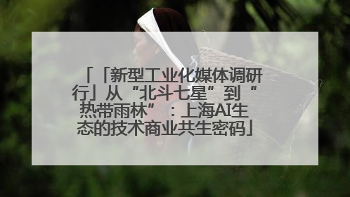 「新型工业化媒体调研行」从“北斗七星”到“热带雨林”：上海AI生态的技术商业共生密码