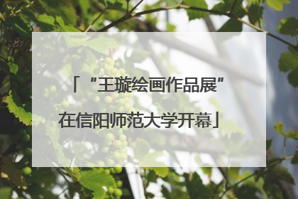 “王璇绘画作品展”在信阳师范大学开幕