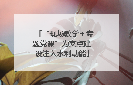 “现场教学＋专题党课”为支点建设注入水利动能