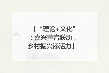 “理论+文化”：嘉兴黄岩联动，乡村振兴添活力
