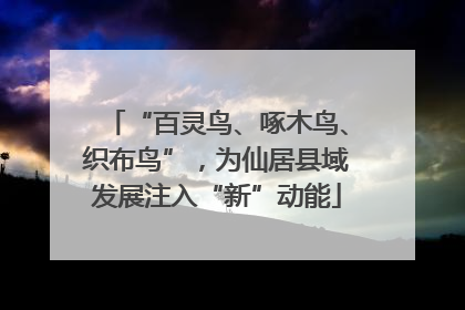 “百灵鸟、啄木鸟、织布鸟”，为仙居县域发展注入“新”动能