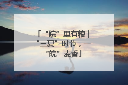 “皖”里有粮｜“三夏”时节，一“皖”麦香