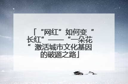 “网红”如何变“长红”——“一朵花”激活城市文化基因的破题之路