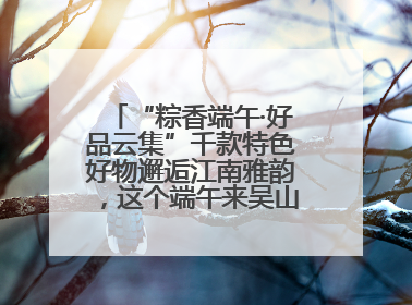“粽香端午·好品云集”千款特色好物邂逅江南雅韵，这个端午来吴山广场解锁“浙里烟火气”