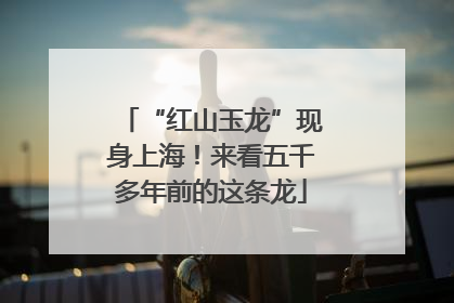 “红山玉龙”现身上海！来看五千多年前的这条龙