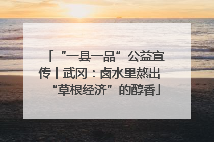 “一县一品”公益宣传丨武冈：卤水里熬出“草根经济”的醇香