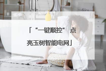 “一键顺控” 点亮玉树智能电网