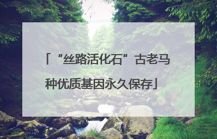 “丝路活化石”古老马种优质基因永久保存