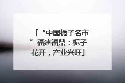 “中国栀子名市”福建福鼎：栀子花开，产业兴旺