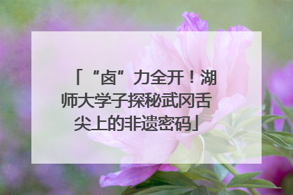 “卤”力全开！湖师大学子探秘武冈舌尖上的非遗密码
