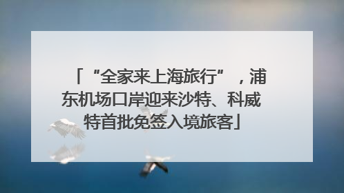 “全家来上海旅行”，浦东机场口岸迎来沙特、科威特首批免签入境旅客