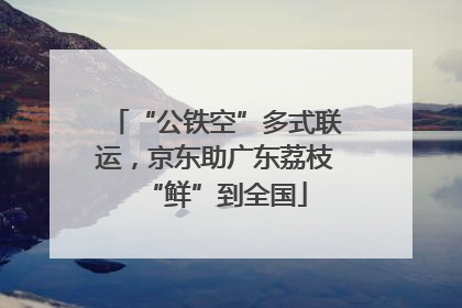 “公铁空”多式联运，京东助广东荔枝“鲜”到全国