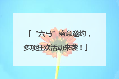 “六马”盛意邀约，多项狂欢活动来袭！