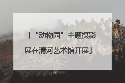 “动物园”主题摄影展在清河艺术馆开展