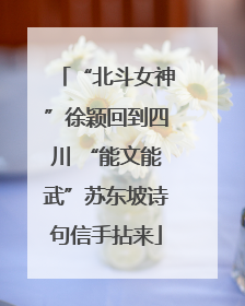 “北斗女神”徐颖回到四川 “能文能武”苏东坡诗句信手拈来