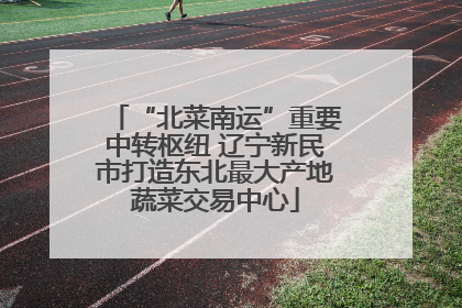 “北菜南运”重要中转枢纽 辽宁新民市打造东北最大产地蔬菜交易中心