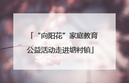 “向阳花”家庭教育公益活动走进塘村镇