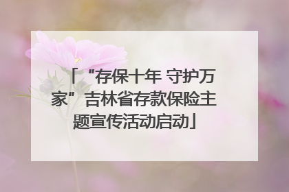 “存保十年 守护万家”吉林省存款保险主题宣传活动启动