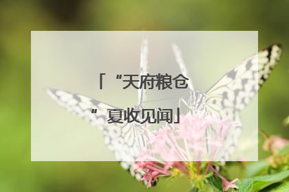 “天府粮仓”夏收见闻