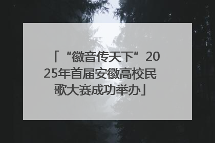 “徽音传天下”2025年首届安徽高校民歌大赛成功举办