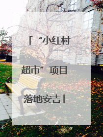 “小红村超市”项目落地安吉
