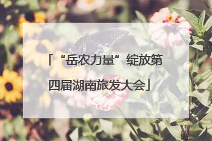 “岳农力量”绽放第四届湖南旅发大会
