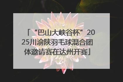 “巴山大峡谷杯”2025川渝陕羽毛球混合团体邀请赛在达州开赛