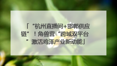 “杭州直播间+邯郸供应链”！角兽营“跨域双平台”激活鸡泽产业新动能