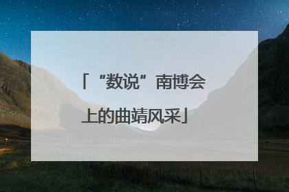 “数说”南博会上的曲靖风采