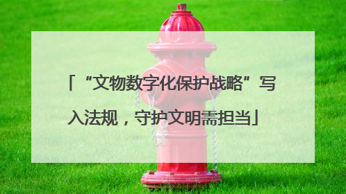“文物数字化保护战略”写入法规，守护文明需担当