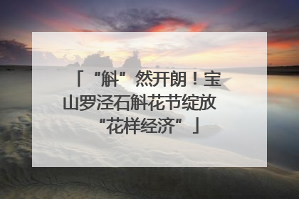 “斛”然开朗！宝山罗泾石斛花节绽放“花样经济”