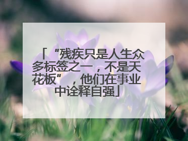 “残疾只是人生众多标签之一，不是天花板”，他们在事业中诠释自强