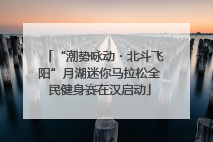 “潮势咏动・北斗飞阳”月湖迷你马拉松全民健身赛在汉启动