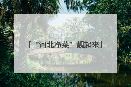 “河北净菜”靓起来