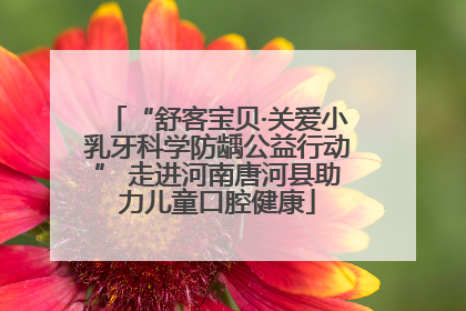 “舒客宝贝·关爱小乳牙科学防龋公益行动” 走进河南唐河县助力儿童口腔健康
