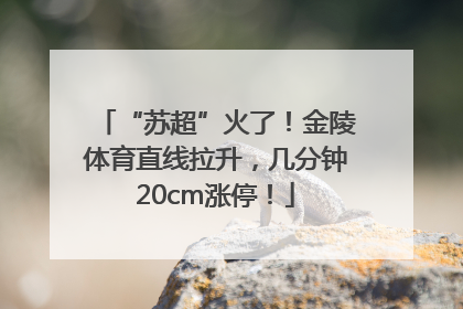 “苏超”火了！金陵体育直线拉升，几分钟20cm涨停！