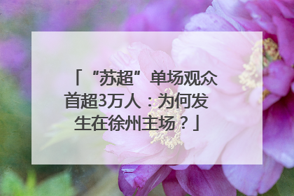 “苏超”单场观众首超3万人：为何发生在徐州主场？