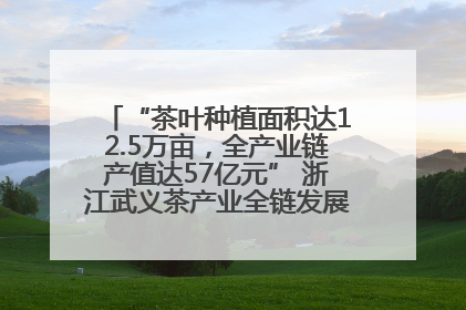 “茶叶种植面积达12.5万亩，全产业链产值达57亿元” 浙江武义茶产业全链发展“加速度”