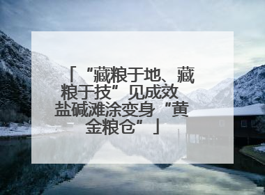 “藏粮于地、藏粮于技”见成效 盐碱滩涂变身“黄金粮仓”