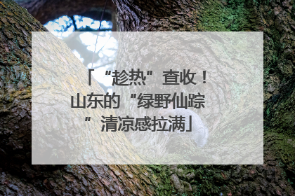 “趁热”查收！山东的“绿野仙踪”清凉感拉满