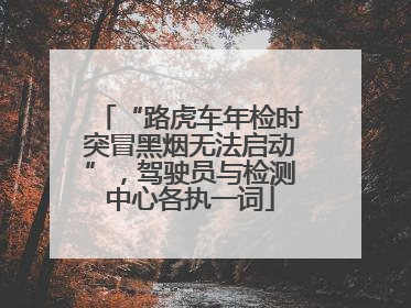 “路虎车年检时突冒黑烟无法启动”，驾驶员与检测中心各执一词