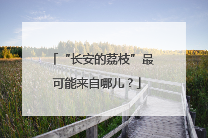 “长安的荔枝”最可能来自哪儿？