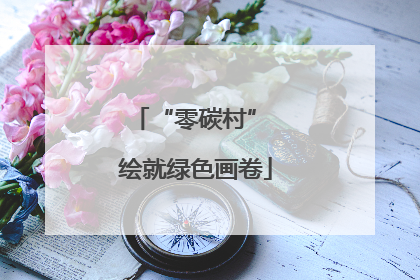 “零碳村” 绘就绿色画卷